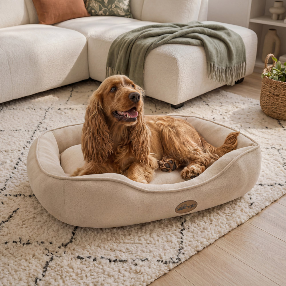 Dog bed product photography, styled in a living room
