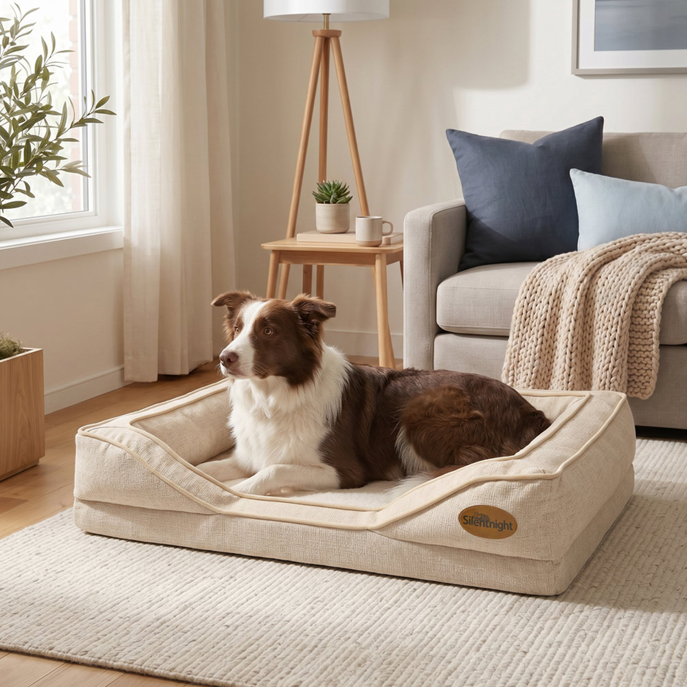 Dog bed product photography, styled in a living room