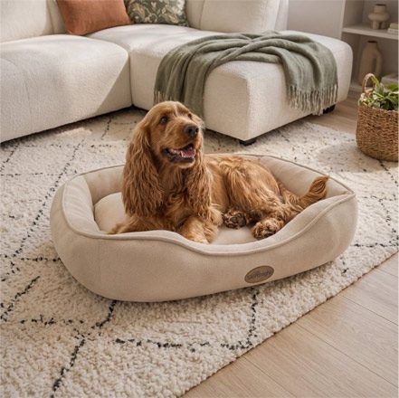 Dog bed product photography, shot in a styled living room